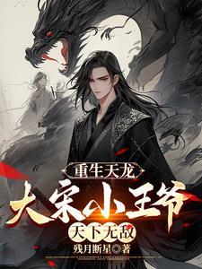 重生天龙,大宋小王爷,天下无敌 重生天龙,大宋小王爷,天下无敌