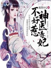 腹黑王妃戏邪王 腹黑王妃戏邪王